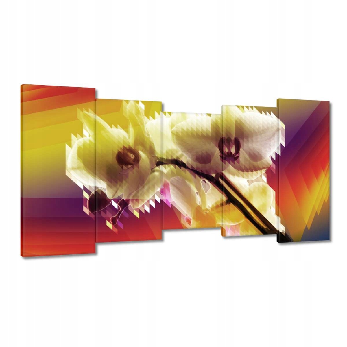 Obrazy 150x80 Orchidej Krásné květiny