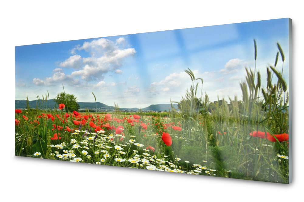 

Panel szklany do kuchni Łąka Kwiaty 125x50