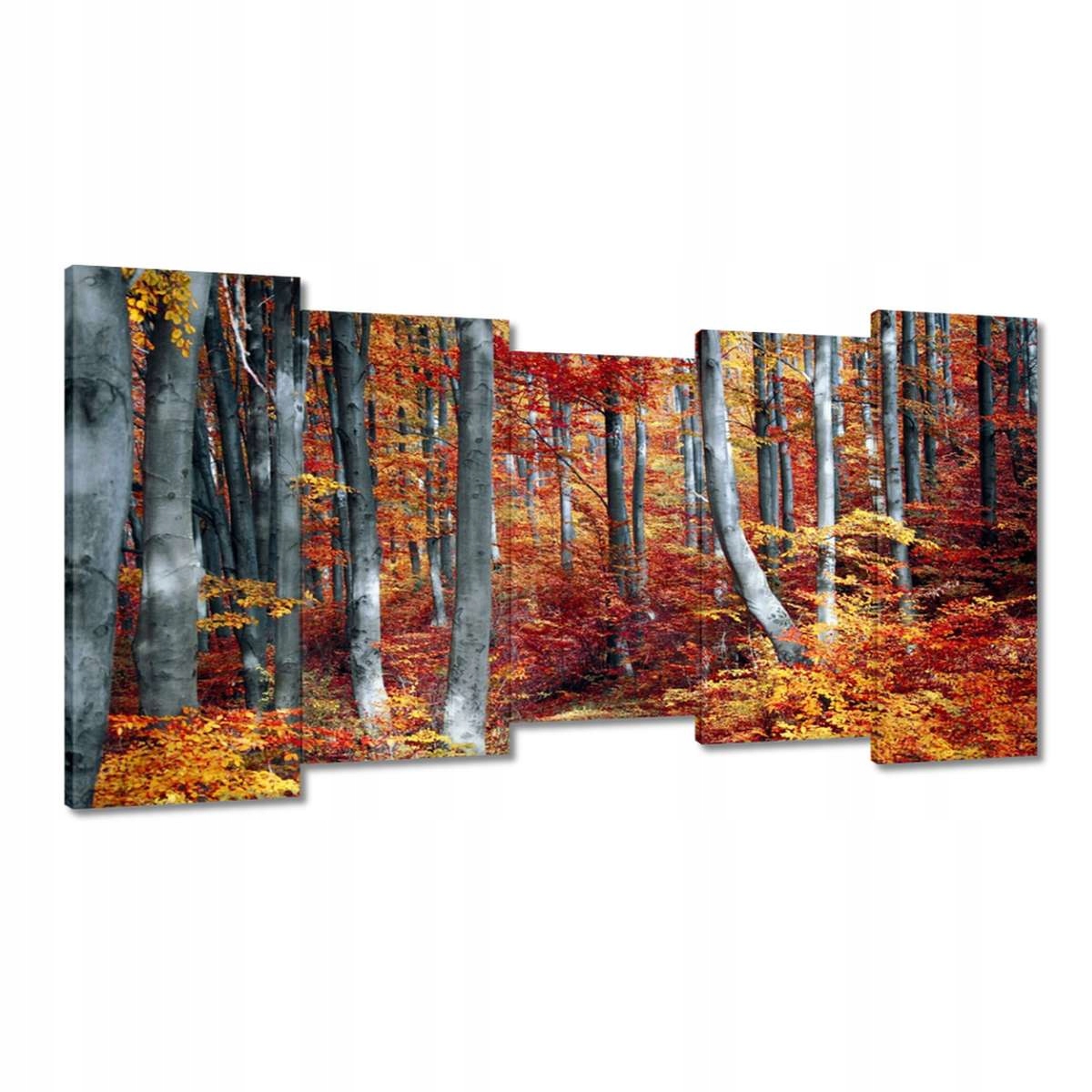 Obrazy 150x80 Krajina