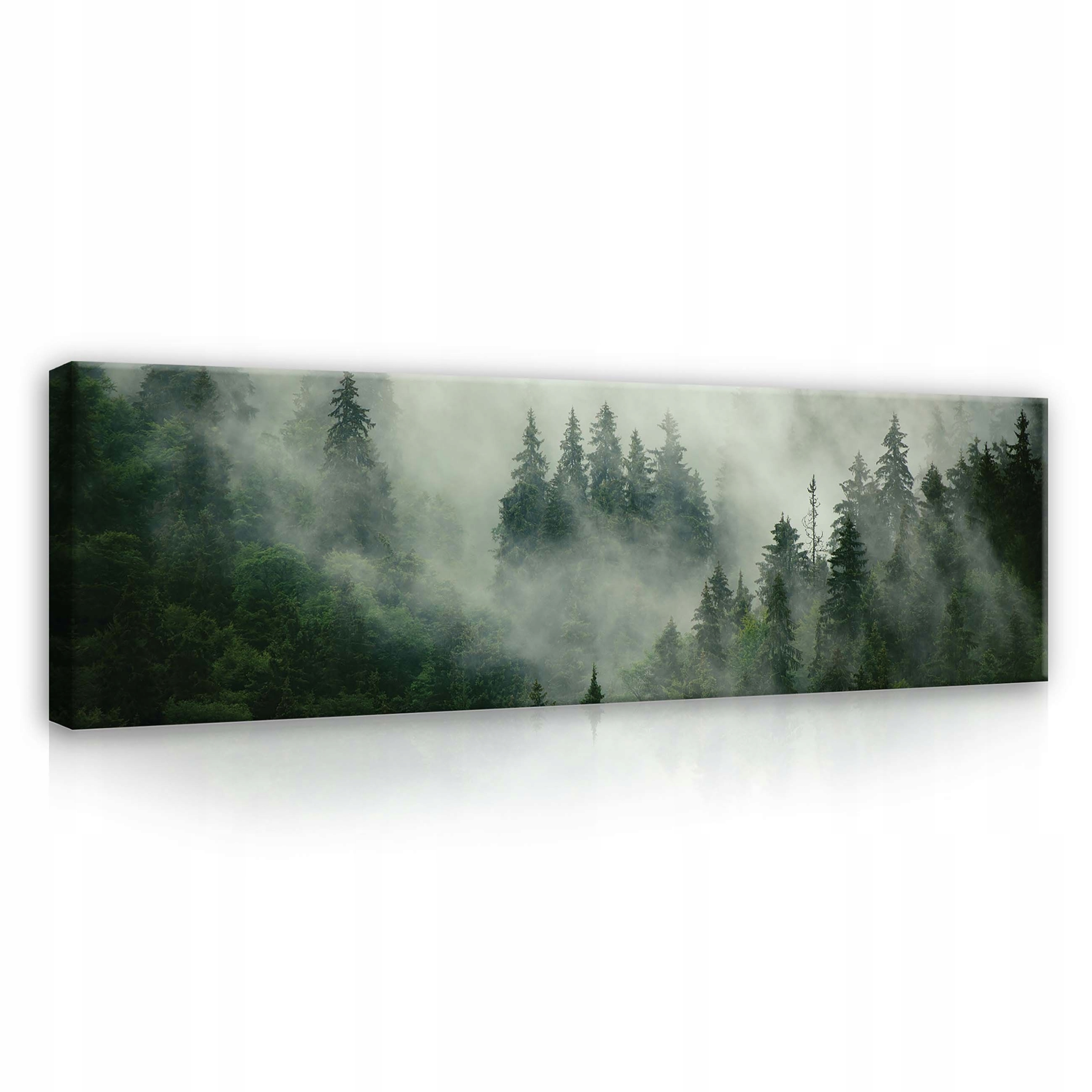 Obraz 145x45 Les v mlze mlhavý les příroda krajina mystika klid ticho