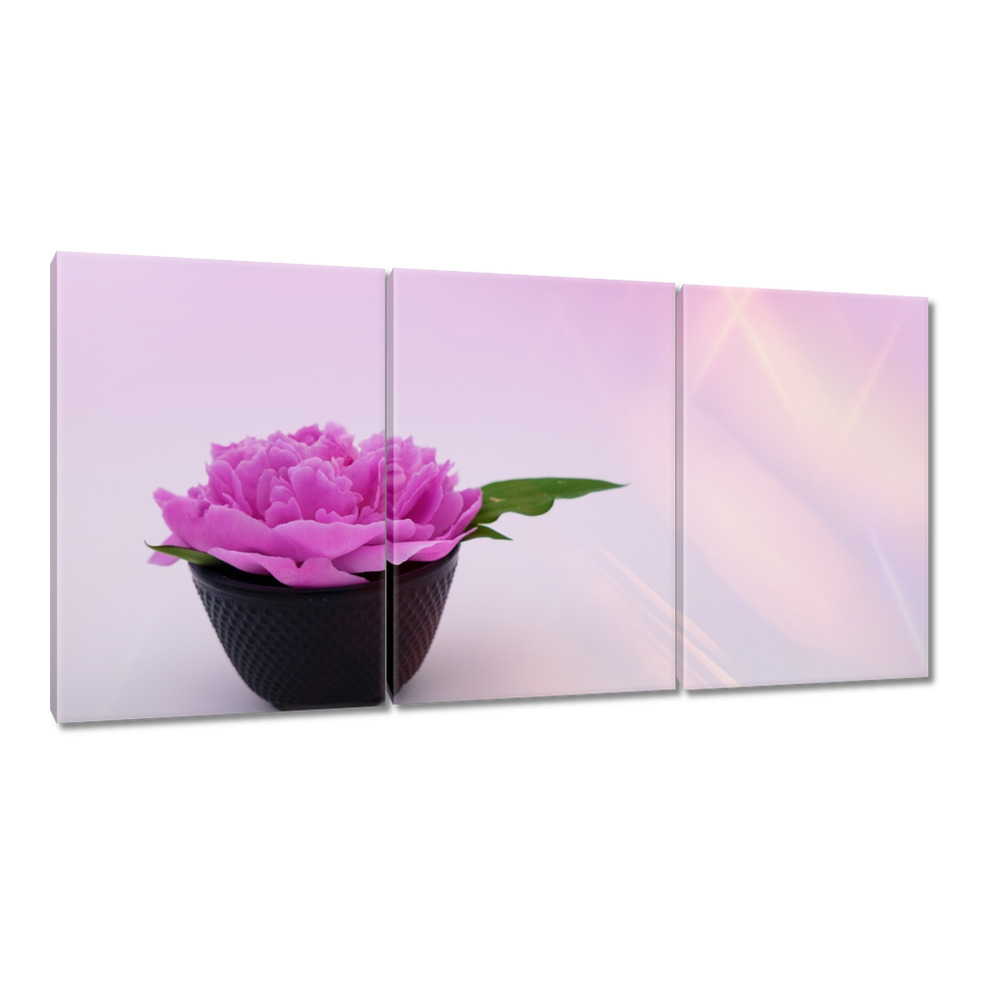 

Obrazy 120x60 Spa Wellness Kwiatek