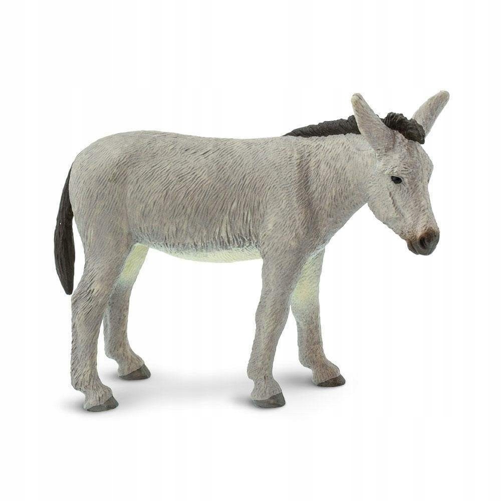 

Osioł Donkey Safari Ltd. 249829
