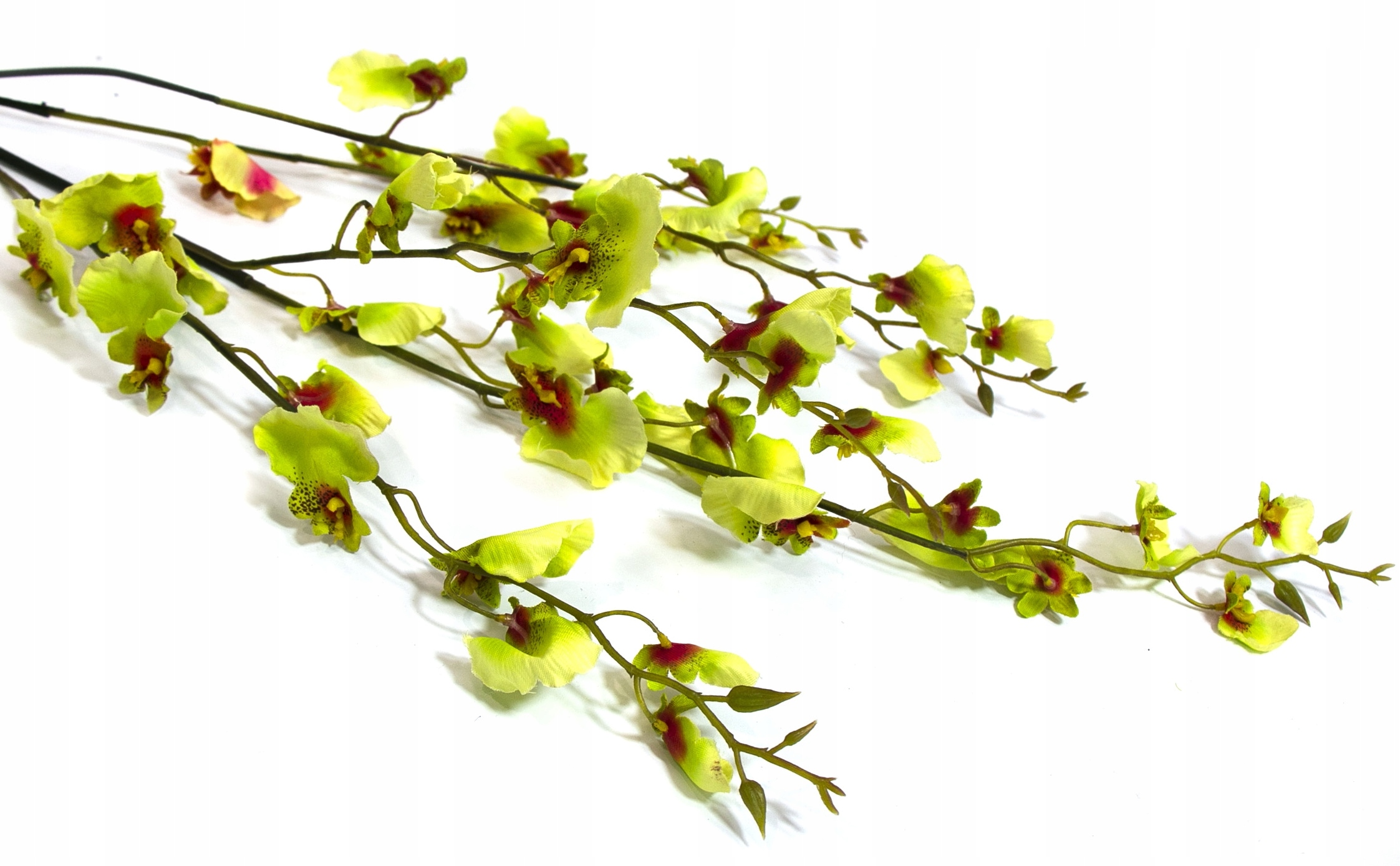 STORCZYK ONCIDIUM DŁUGA GAŁĄZKA ZIELONY 120cm