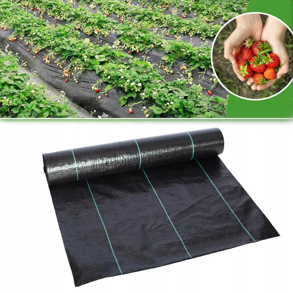 Agrotkanina Agrotextilie 2x25 m Černá Proti Plevelům 90 g