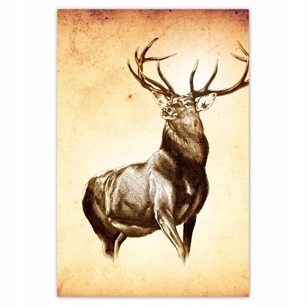 

Plakaty 40x60 Jeleń z rogami