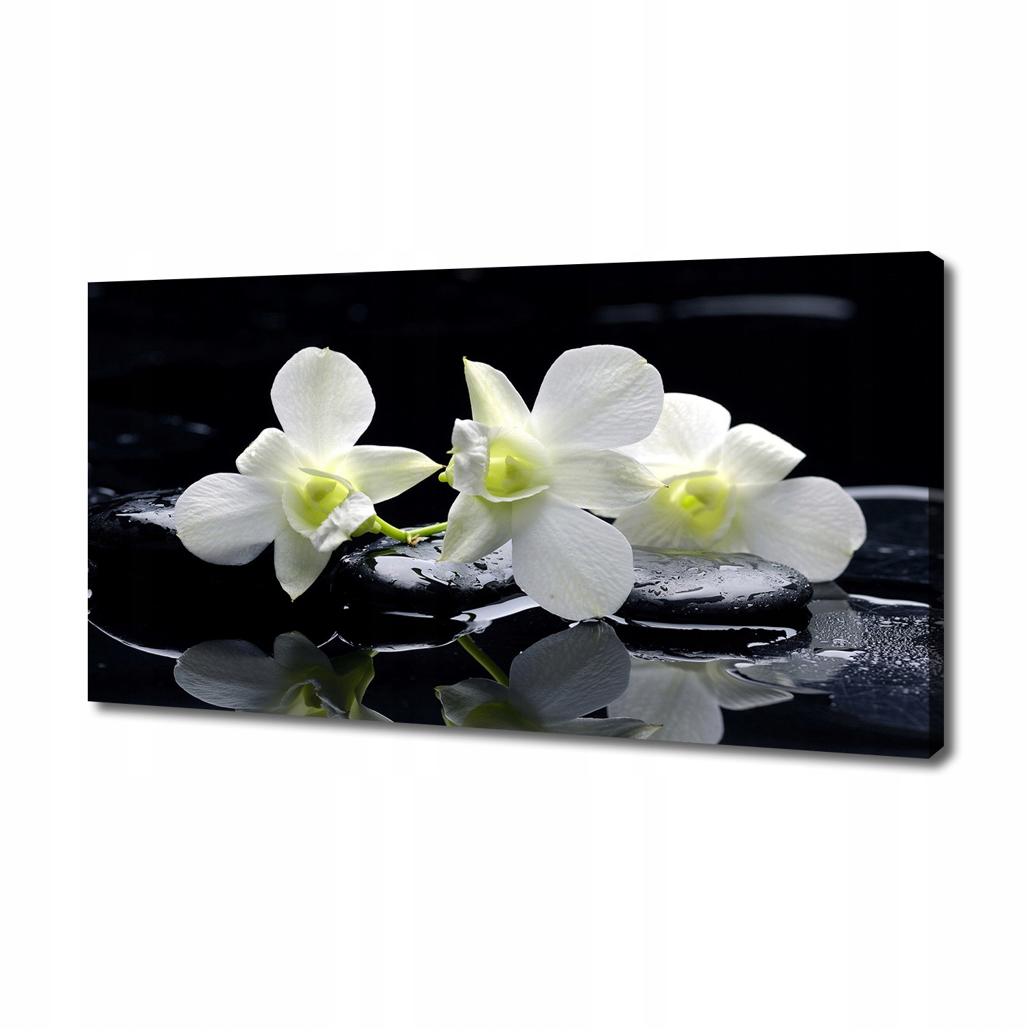 

Foto obraz canvas na ścianę Orchidea 140x70 cm