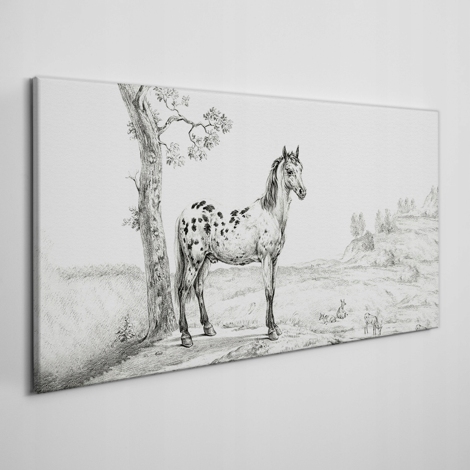 

Foto-obraz na ramie płótno Zwierzęta koń 140x70 cm
