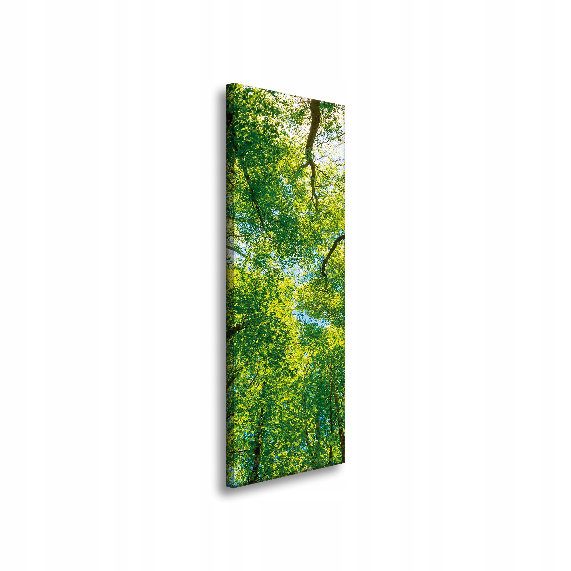 Obraz na plátně Stromy Listy Příroda Les Jaro 40x120 cm