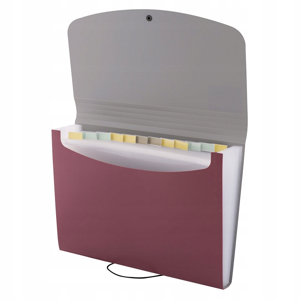 TECZKA HARMONIJKOWA Z PRZEGRÓDKAMI 12 przegród A4 Liczba sztuk w ofercie 1 szt.