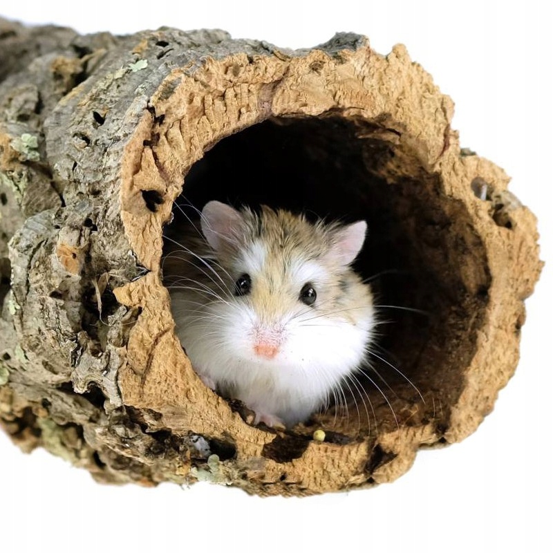 

Tuba Rura Korkowa Kryjówka Grota Terrarium Gady