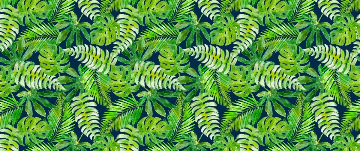 

Tapeta Flizelinowa Tropikalne liście - 250x104