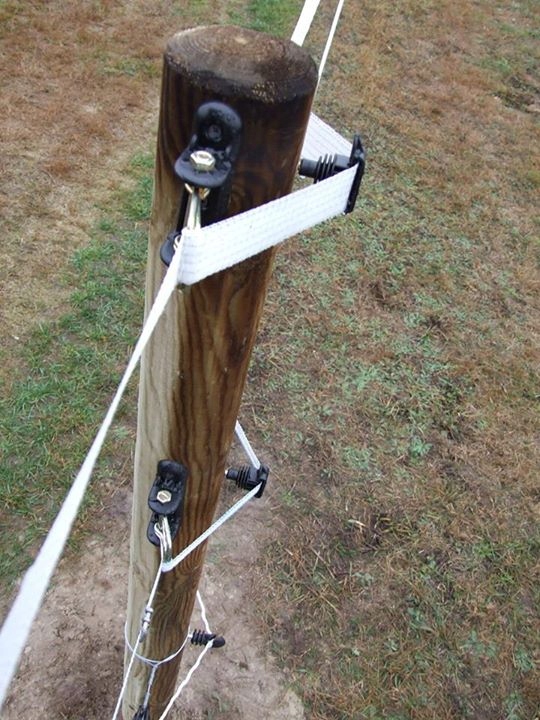 IZOLATOR DO PASTUCHA TAŚMY UNIWERSALNY WKRĘCANY DO DREWNA IZOLATORY 100 SZT Długość trzpienia 3 cm