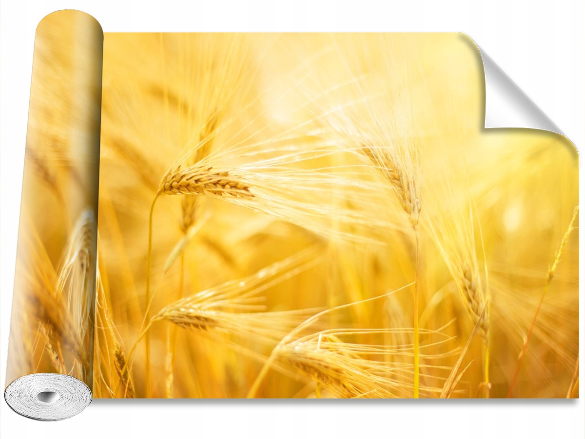 

Tapeta Samoprzylepna Pole pszenicy 416x254