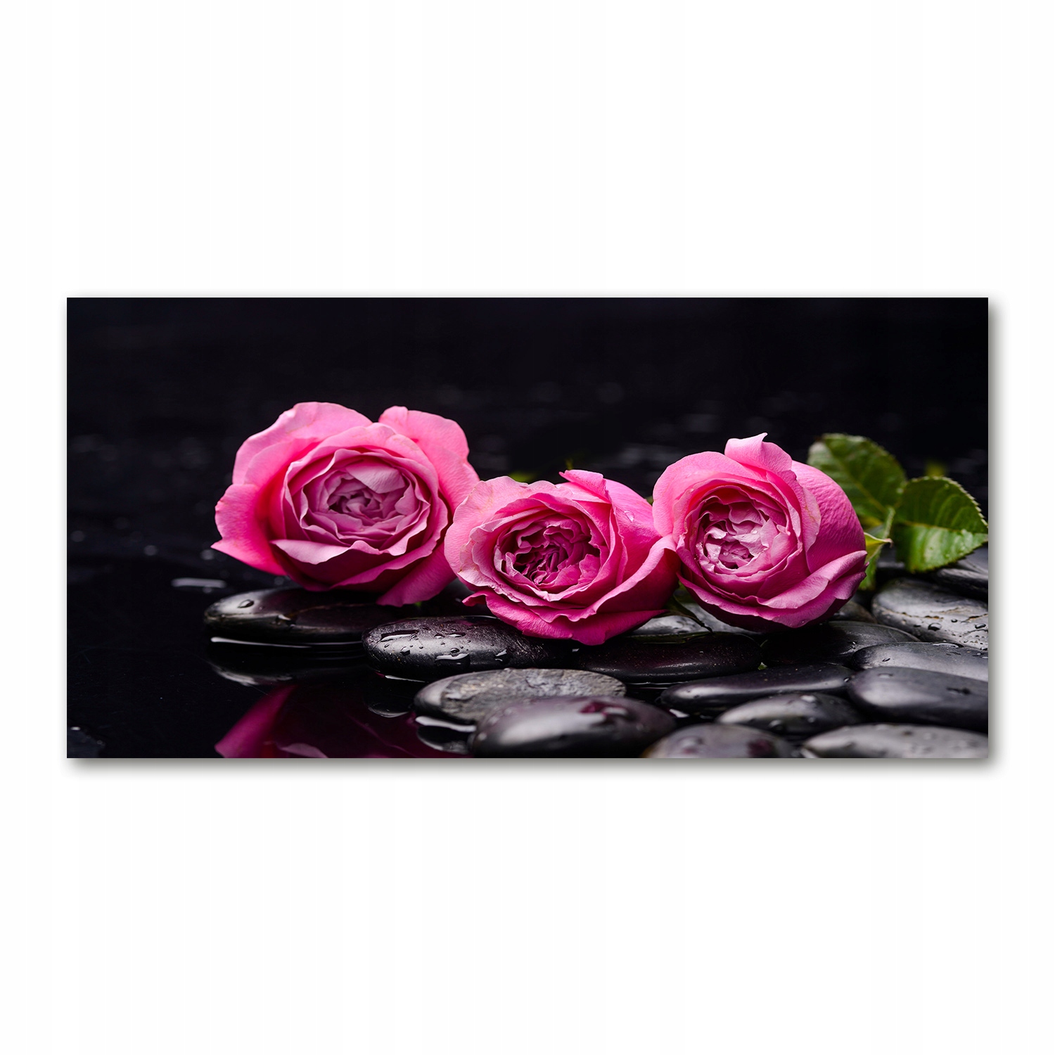 

Foto obraz akrylowy Różowe róże zdjęcie 140x70 cm