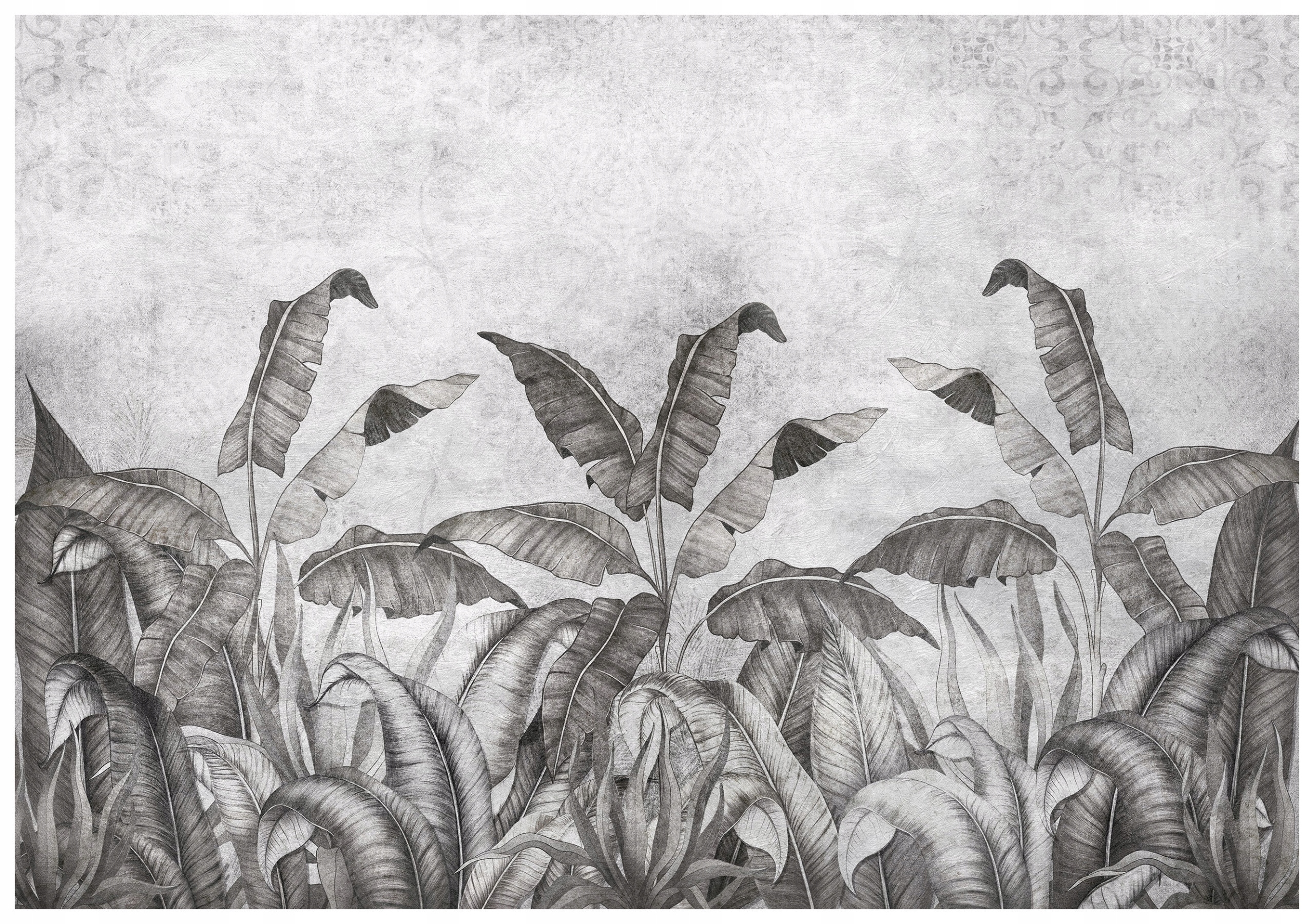 Vliesová fototapeta Tropické listy džungle exotika 312x219 lepidlo