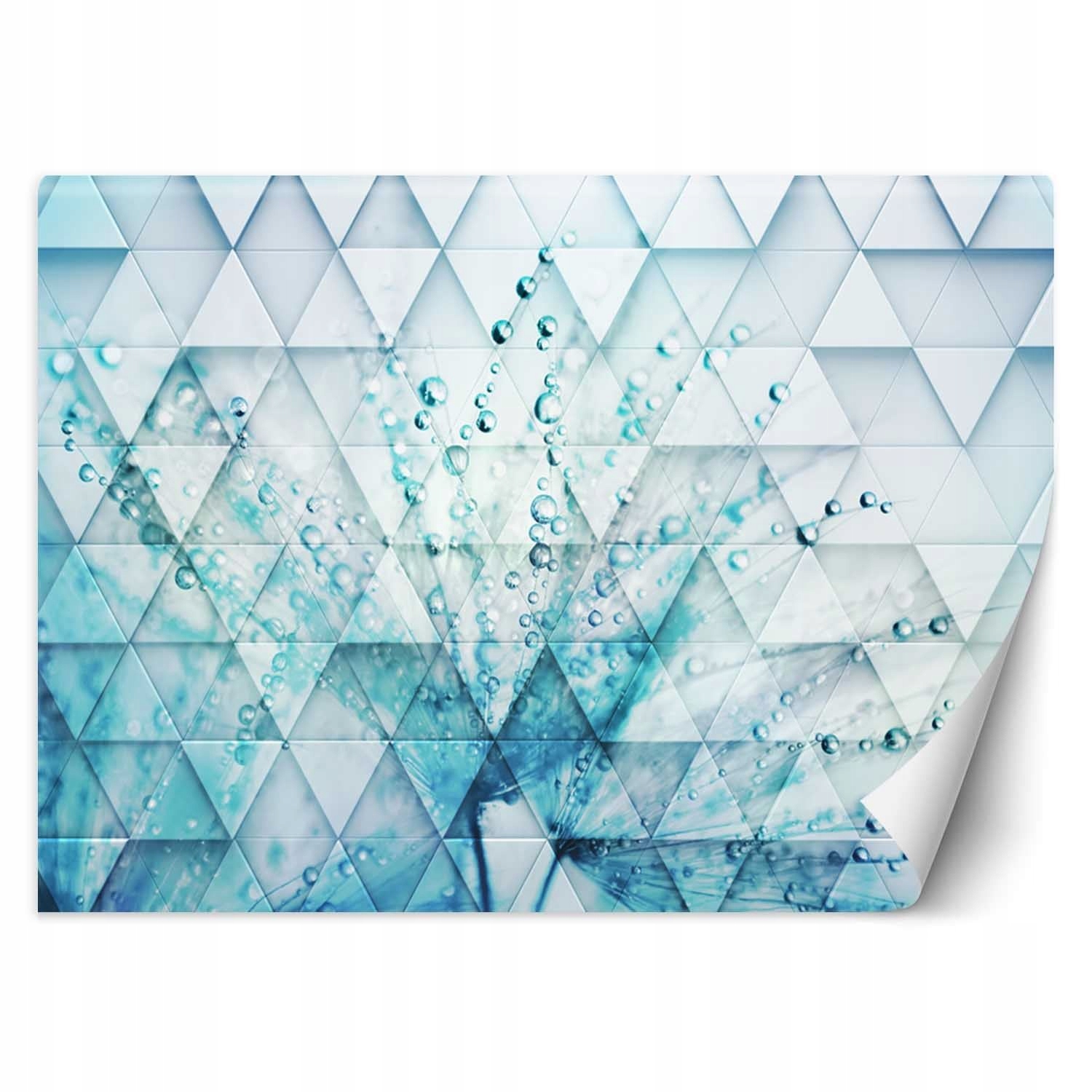 Fototapeta Tyrkysový pampeliška v kapkách rosy 150x105