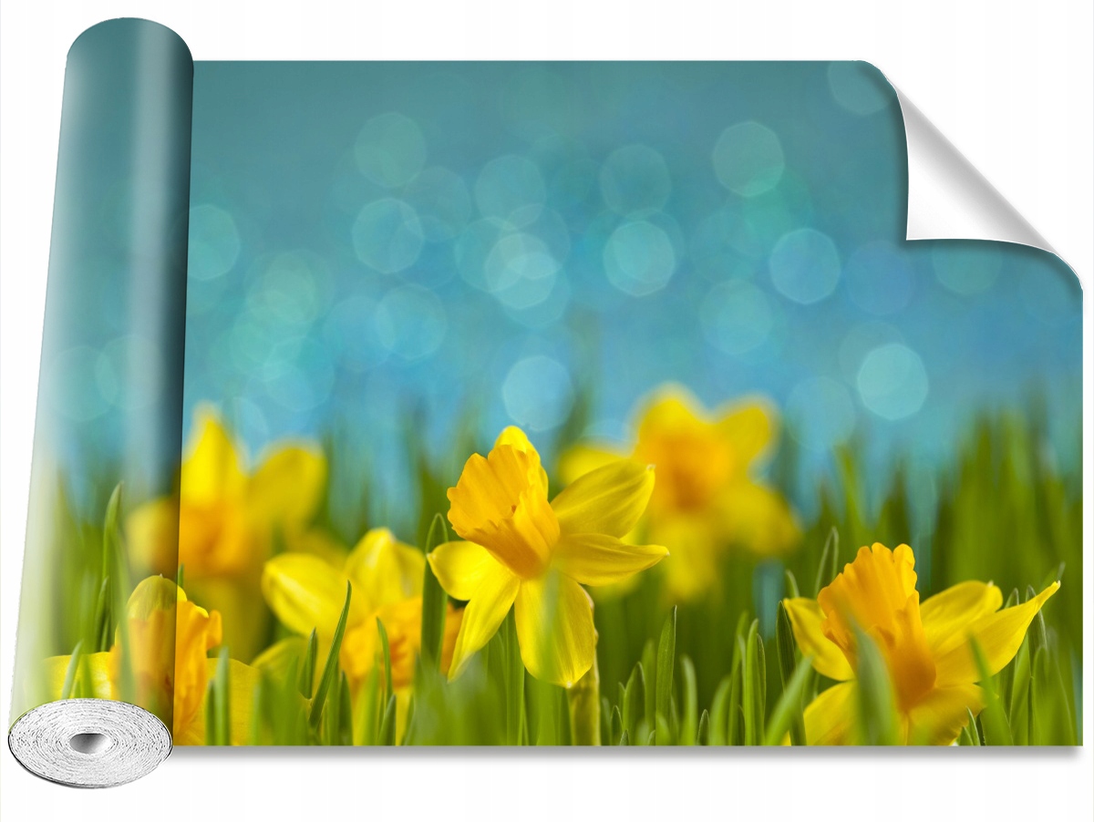 

Tapeta Samoprzylepna MagicStick Żonkile 208x146