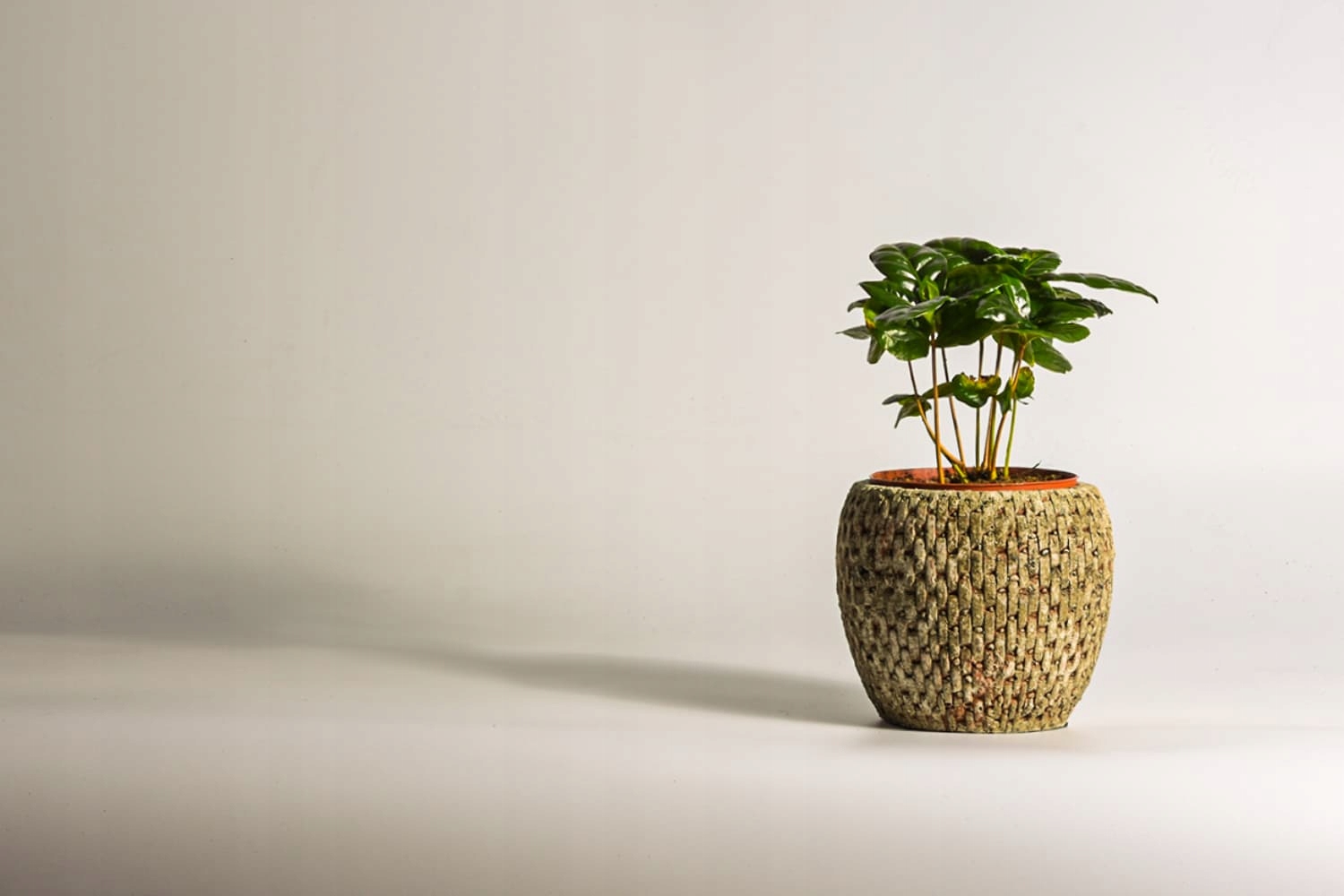 Osłonka Ceramiczna Leśny Porost EAN (GTIN) 5907785201255