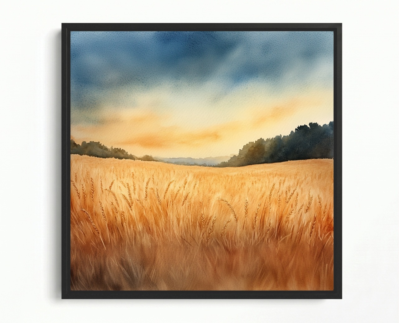 Obraz Rám Americký Box Krajina Vesnice Pole Obilí Klasy Žně 50x50