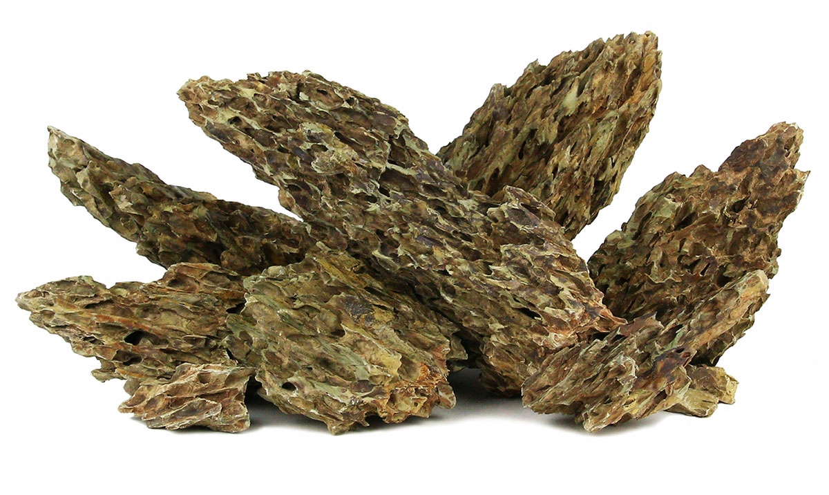 

Rotala Premium Dragon Stone 1kg Skała