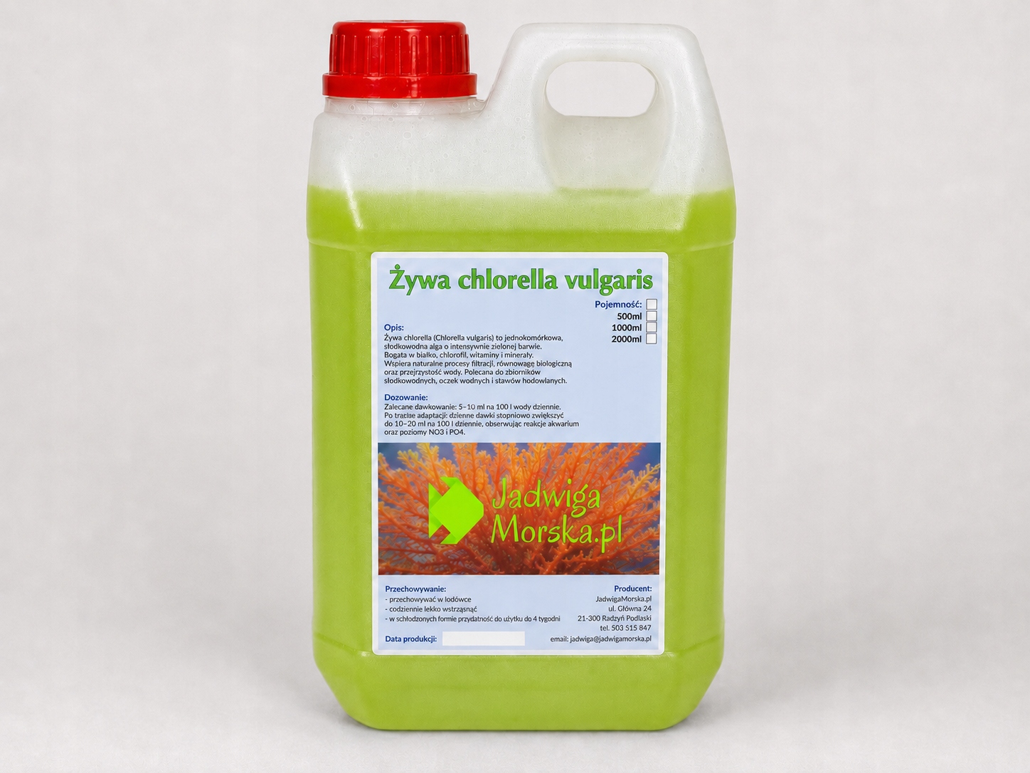 Chlorella vulgaris 2L (żywa kultura)