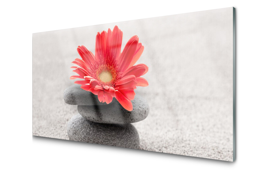 

Panel szklany Płytka Kwiat Gerbera 100x50