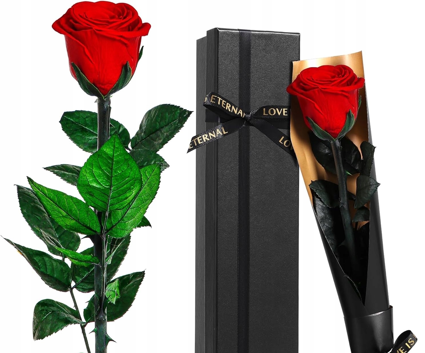 Věčná Růže Se Stonkem, Konzervovaná, Červená Valentýnská