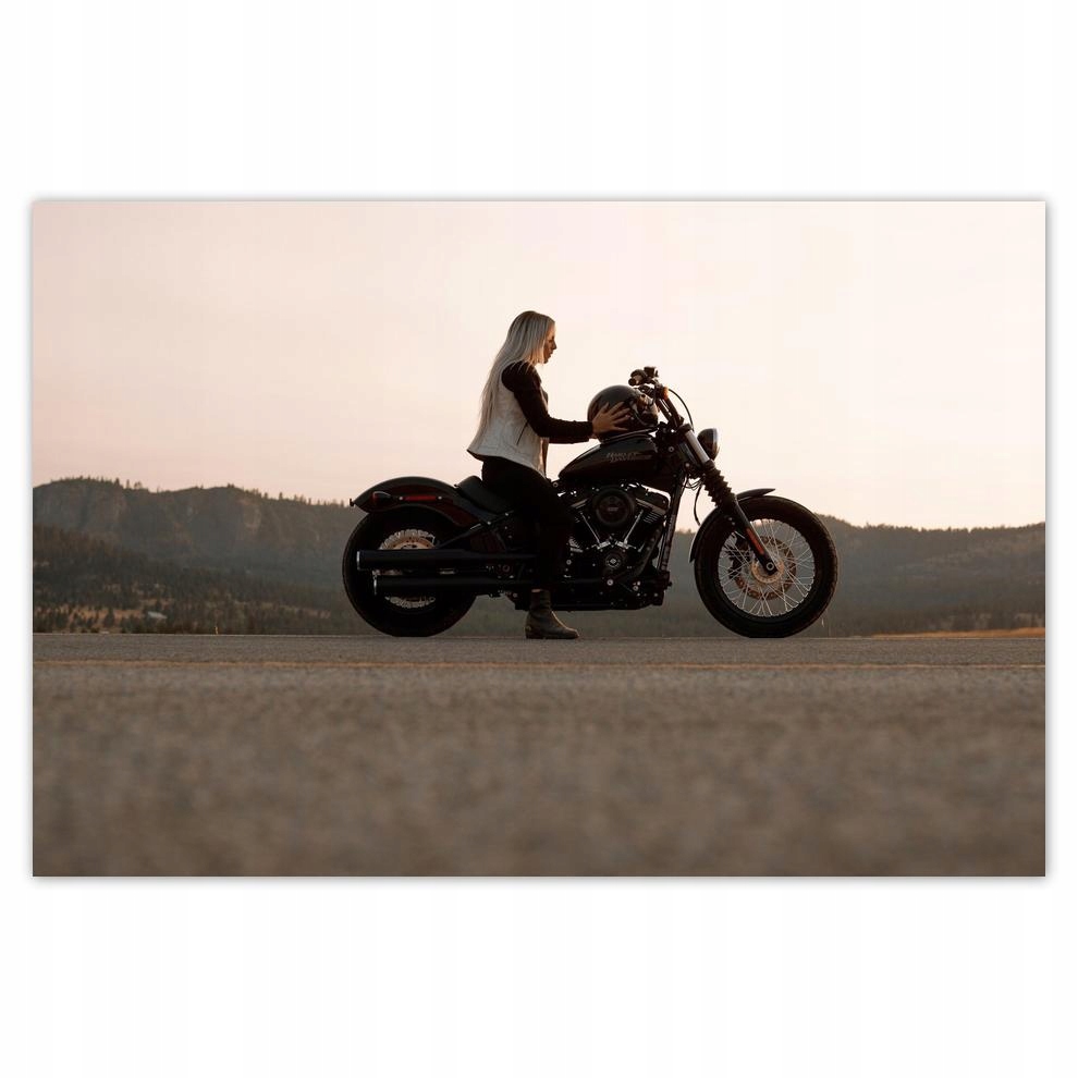 

Naklejki 60x40 Harley Davidson Motocykl