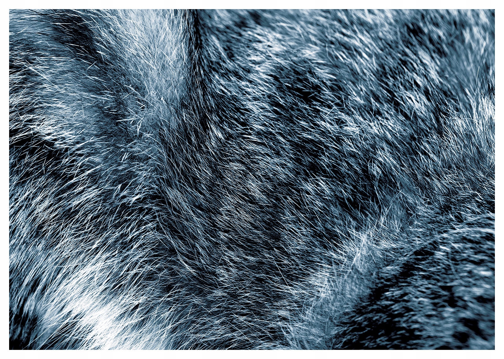 Fototapeta flizelina Kožešina a vlna Měkká textura na zeď 350x250 lepidlo