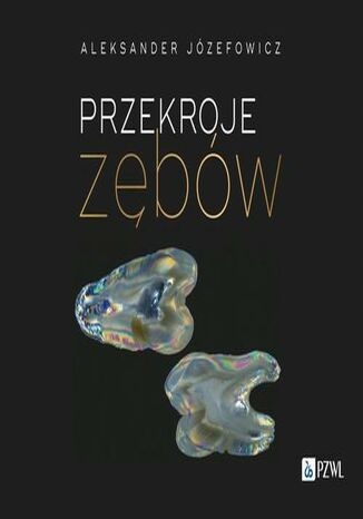 Przekroje zębów Tytuł Przekroje zębów