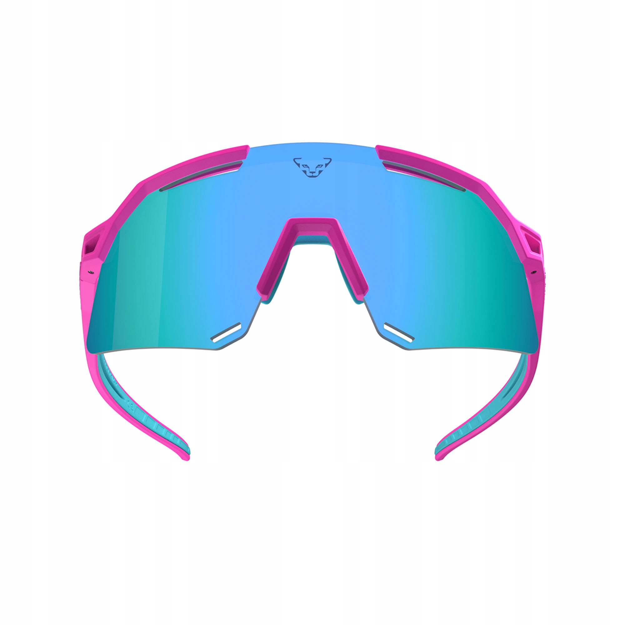 Brýle Dynafit Ultra Revo