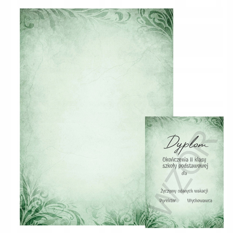 

Dyplom Galeria Papieru Emerald 170g 25ark