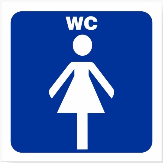 

Naklejka Wc Toaleta Do Toalety Damska Damskie