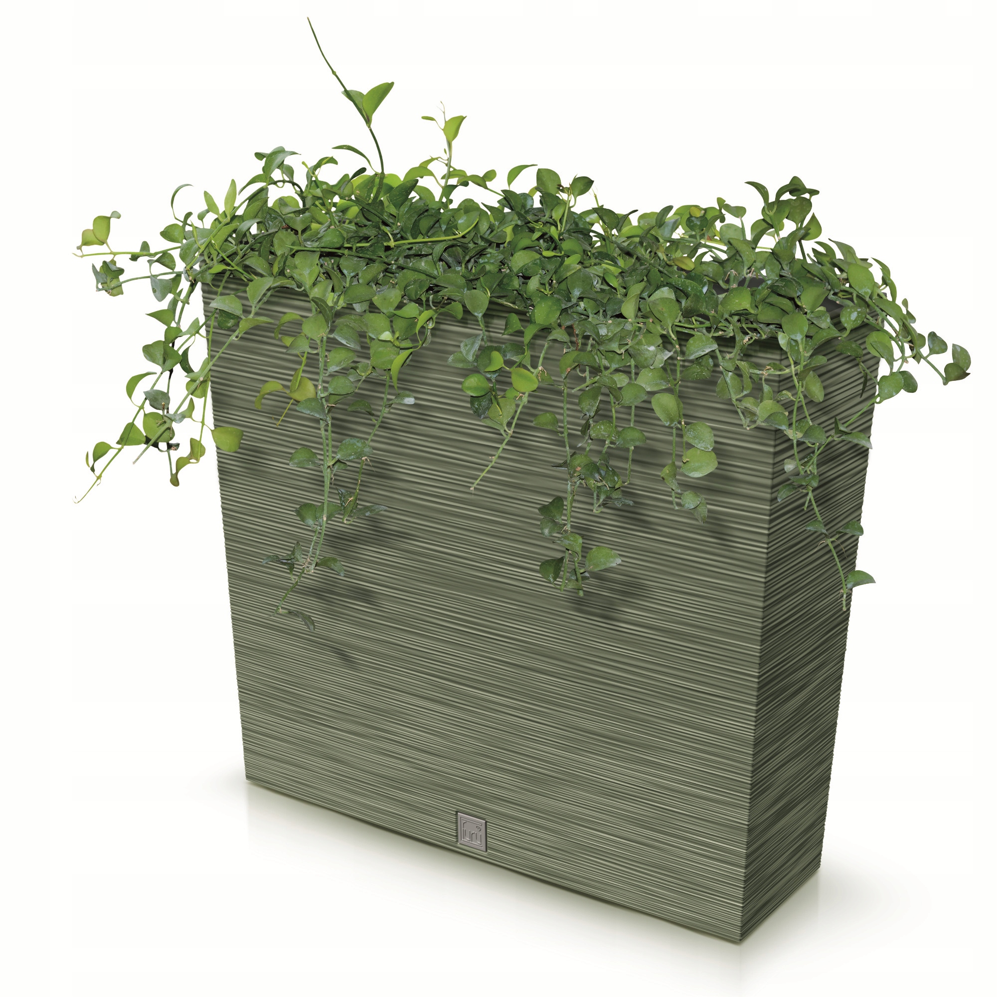 Donica wysoka skrzynka taras 58x18x49cm antracyt Marka Botle