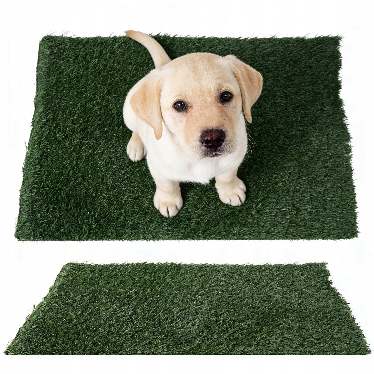 Levně Omyvatelná Podložka S Trávou Pro Psy A Štěňata Pro Výuku 63 X 51 CM