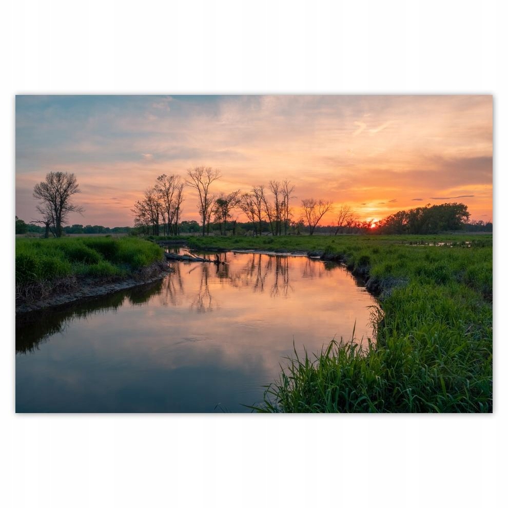

Plakaty 60x40 Rzeka Łąka