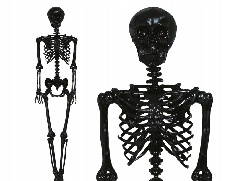 Kostra Kostlivec 160 CM Dekorace Halloween Mrtvola Kostra Dekorace