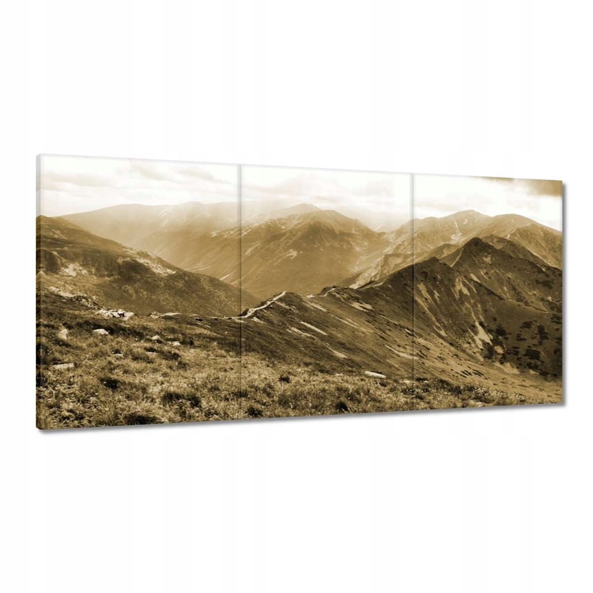 Obrazy 180x90 Tatry Poľské hory Pohľad