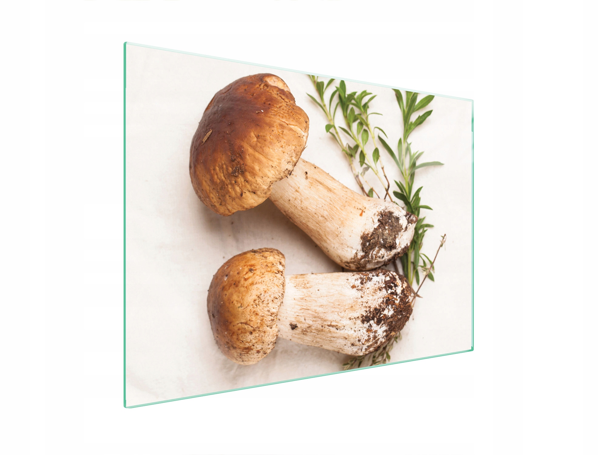 Skleněná Ochranná Deska Na Sporák 70x52 Houby Tvrzené Sklo