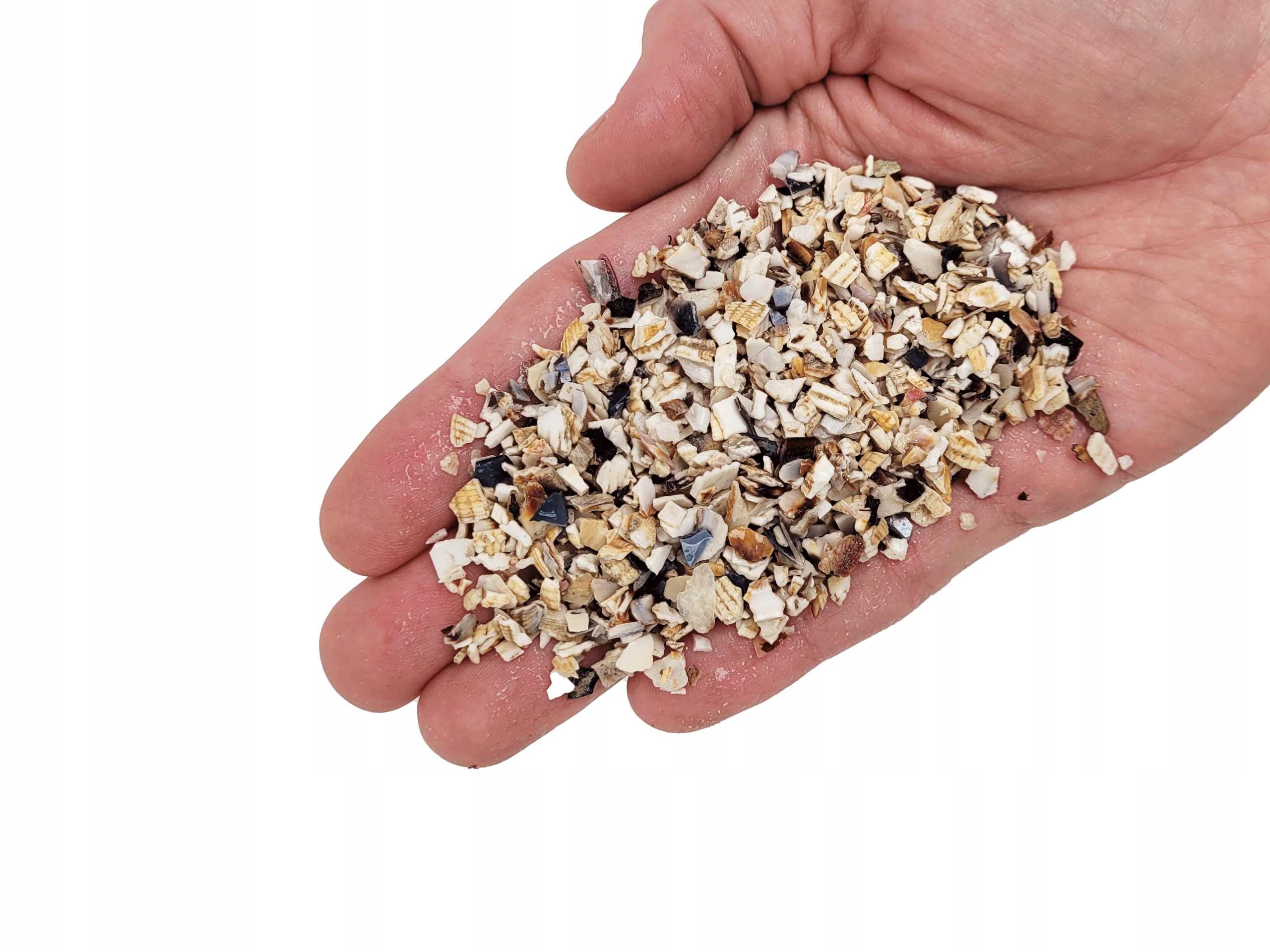 Levně Wio Shellbed Riverbed 0,1-5 MM 5 Kg