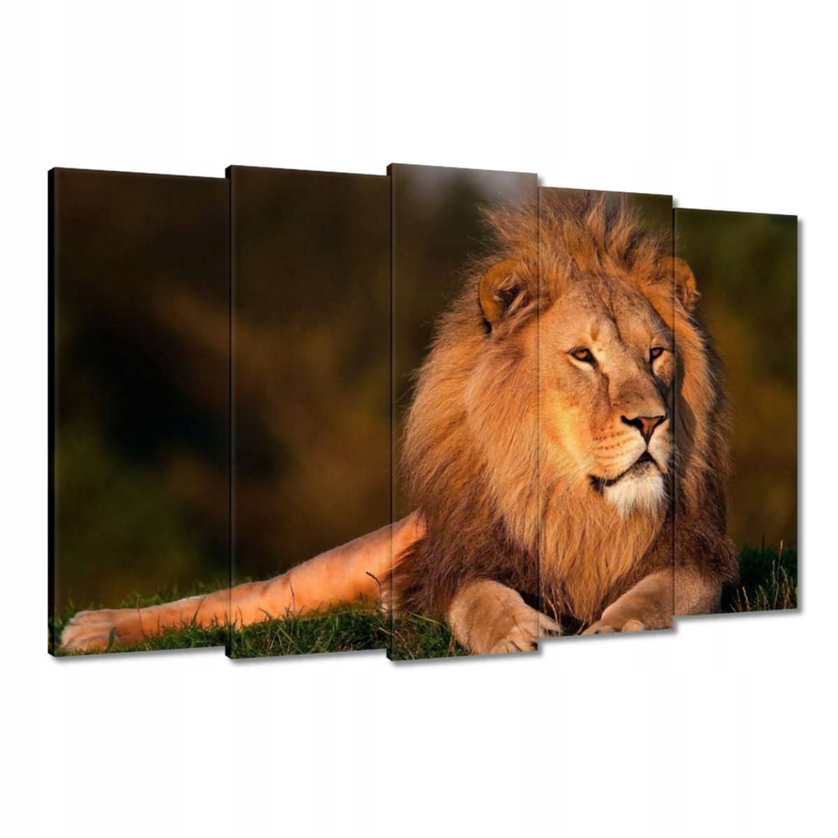 Obrazy 150x95 Lev