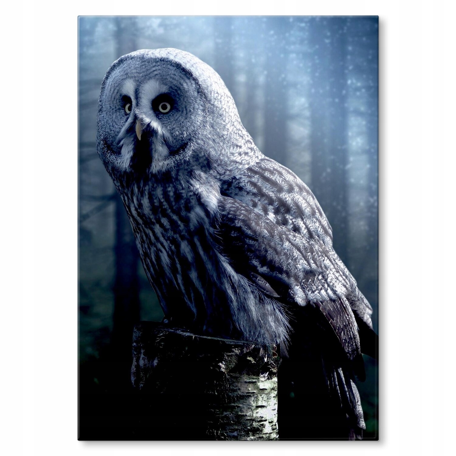 Kovový plakát Noční sova Szyld Plech 30 x 42 cm Dárek