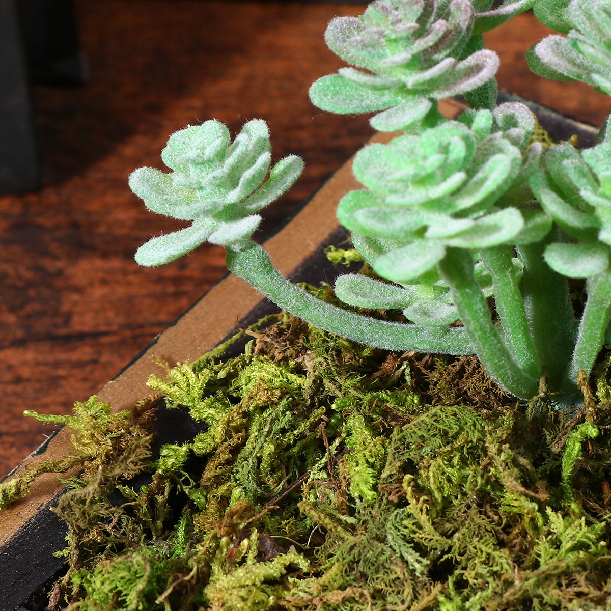 ROŚLINY NATURALNE MCHY I POROSTY DO DEKORACJI OGRODU (60G) EAN (GTIN) 4894931014191