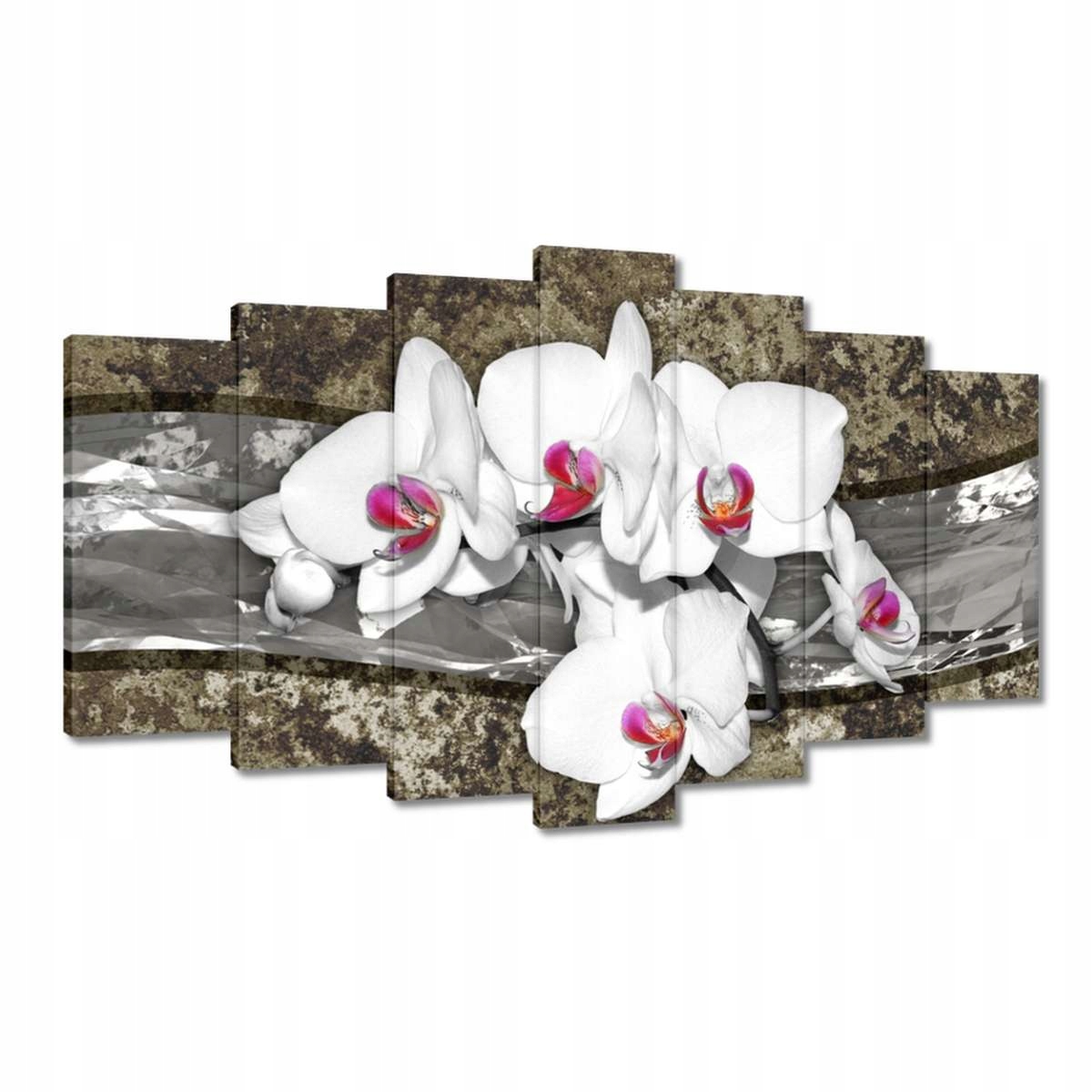 Obrazy 140x80 Bílá Orchidej Mramorové pozadí