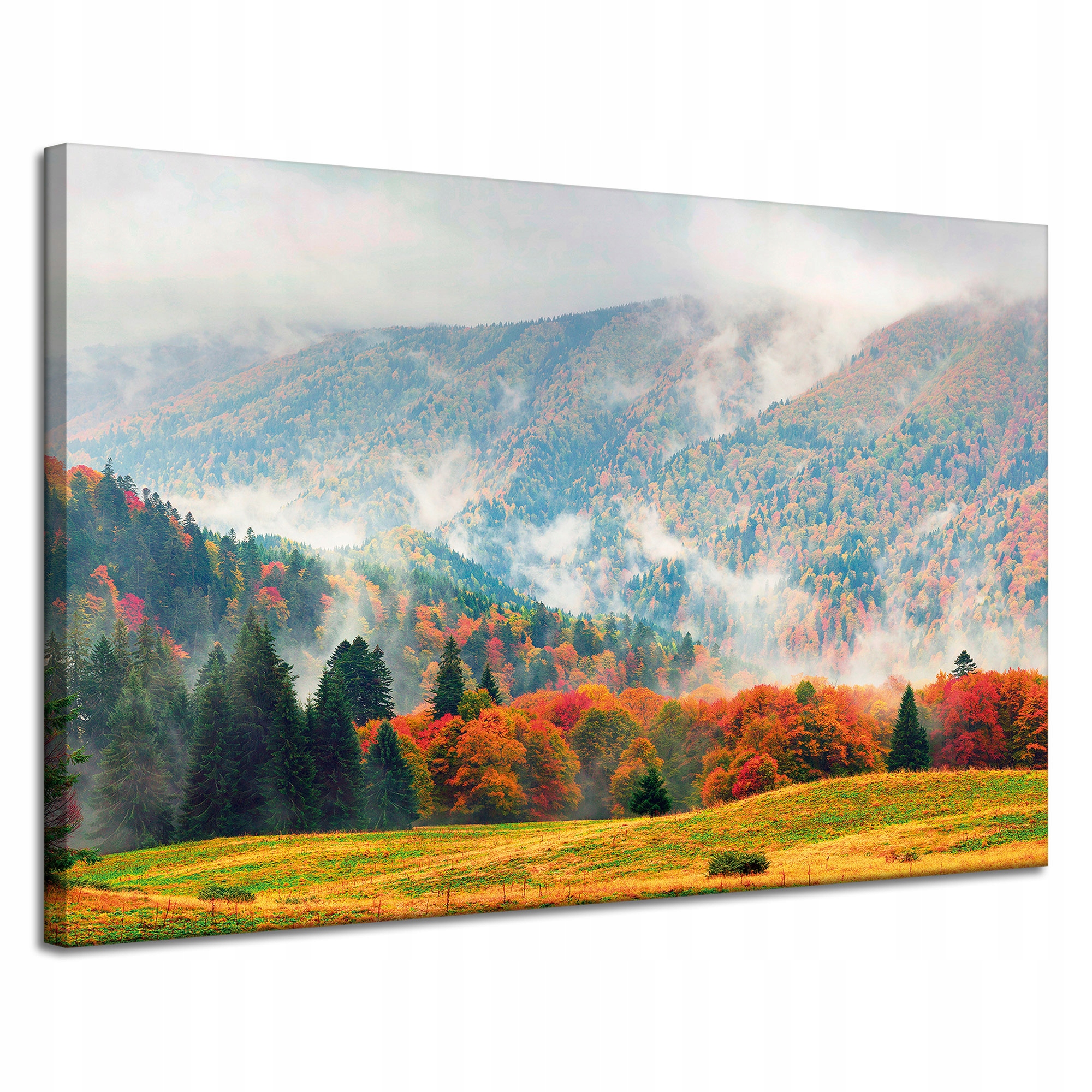 Obraz na plátně Hory Lesy Louky Mraky Příroda 120x80 cm