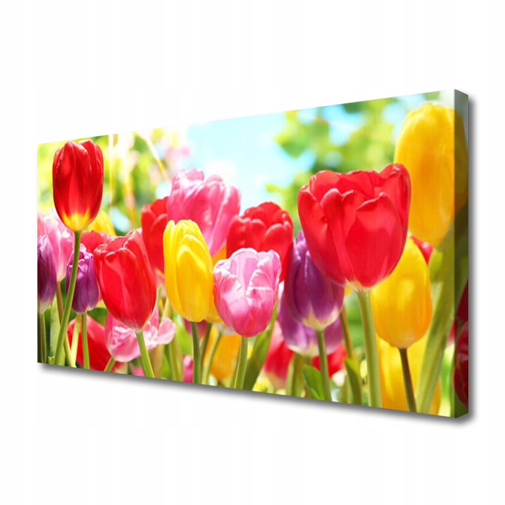 obraz na plátně Tulipány Květiny Rostlina 120x60