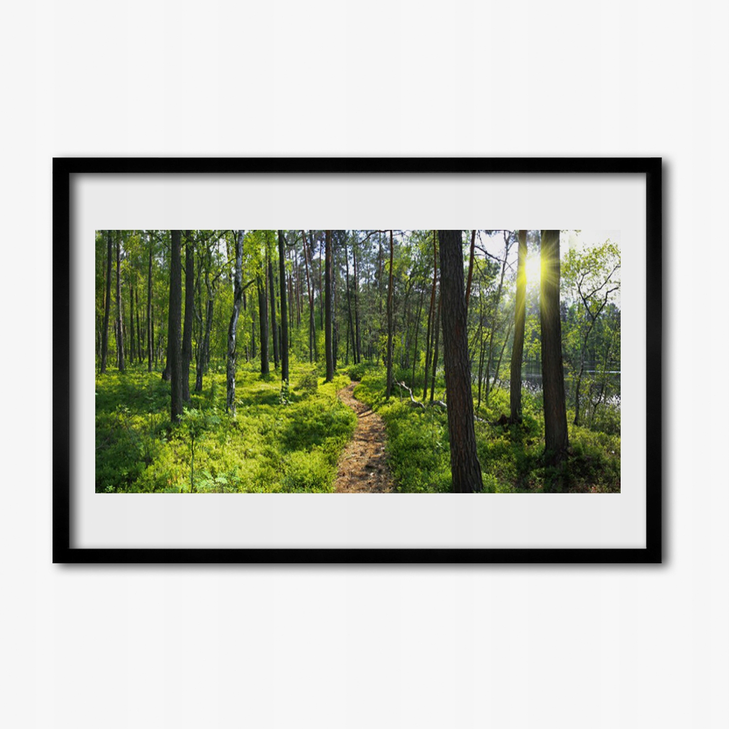 Foto obraz s rámečkem mdf Les stezka cesta 60x40