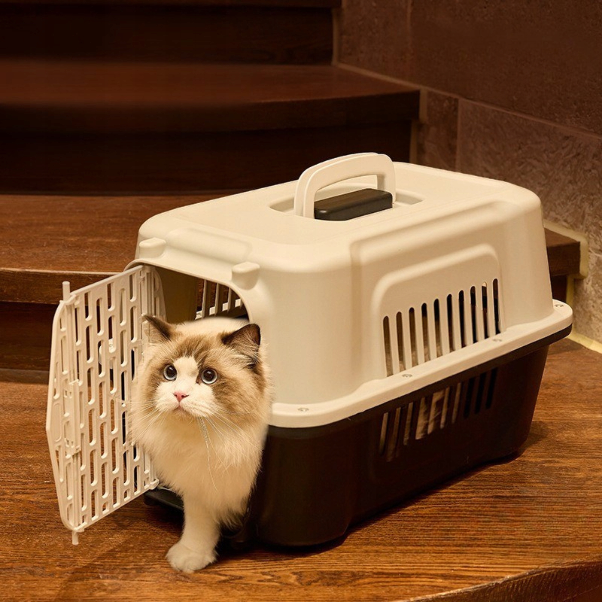 Velký Přepravka Pro Kočky Psa Králíka Zvířat Plastová Klec Kotec Box