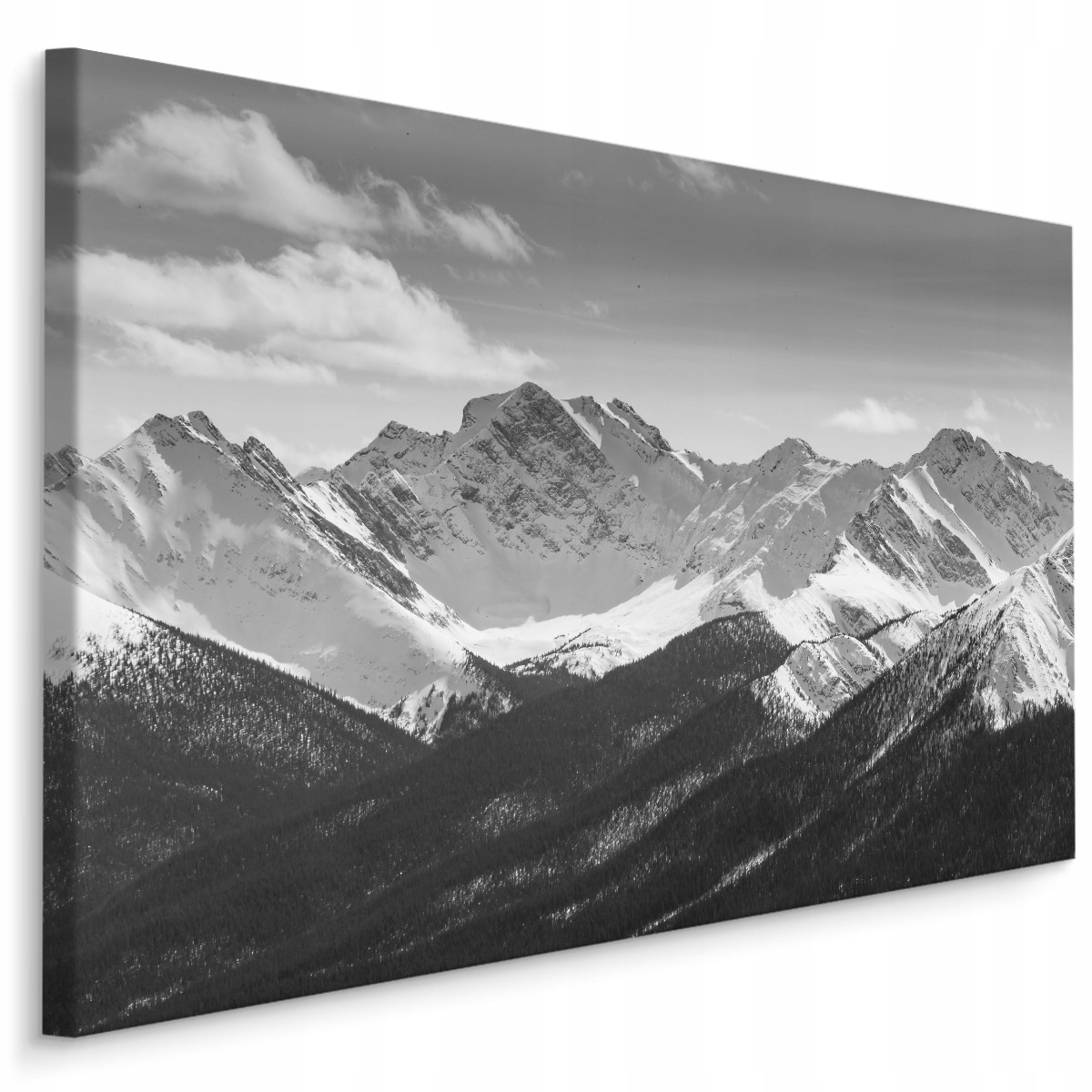 

Obraz do Salonu Czarno-Biały Pejzaż Górski 120x80