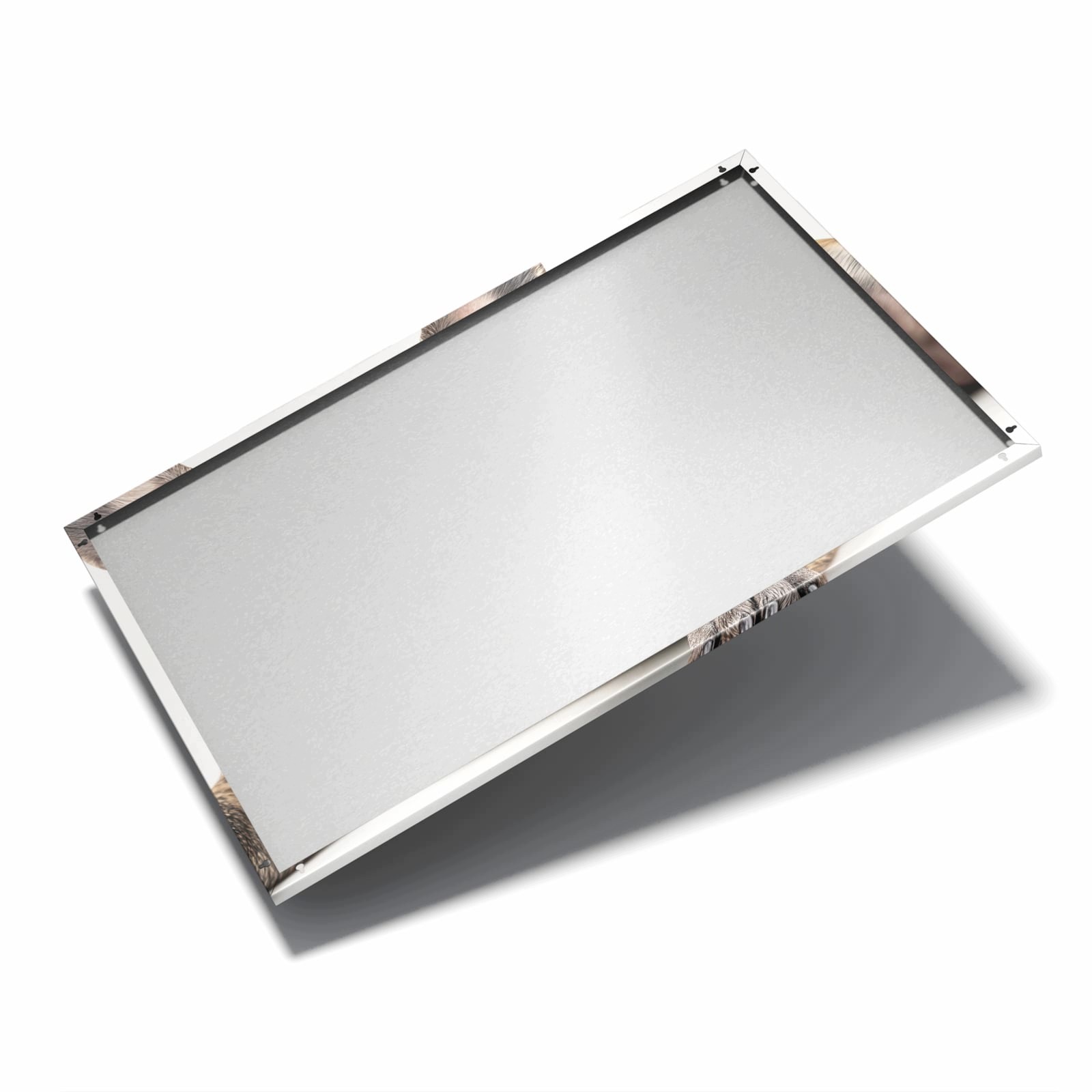 Magnetická tabule Francouzský Buldok Portrét 60 × 40 cm